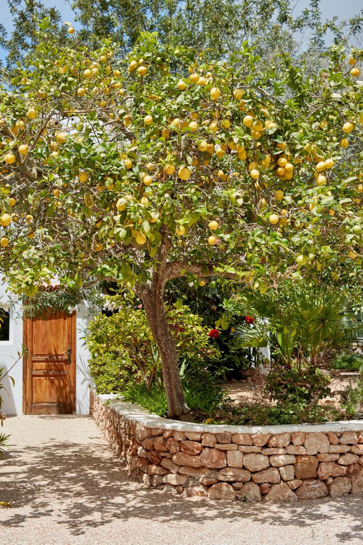 Valley Club Ibiza - Boutique Agroturismo Sant Joan De Labritja Exterior photo
